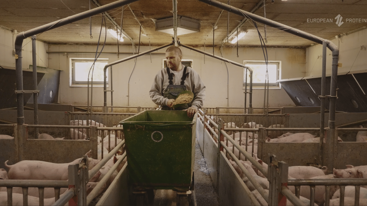 A picture of pig producer Michael Rasmussen, in the process of feeding the piglets in the weaner unit