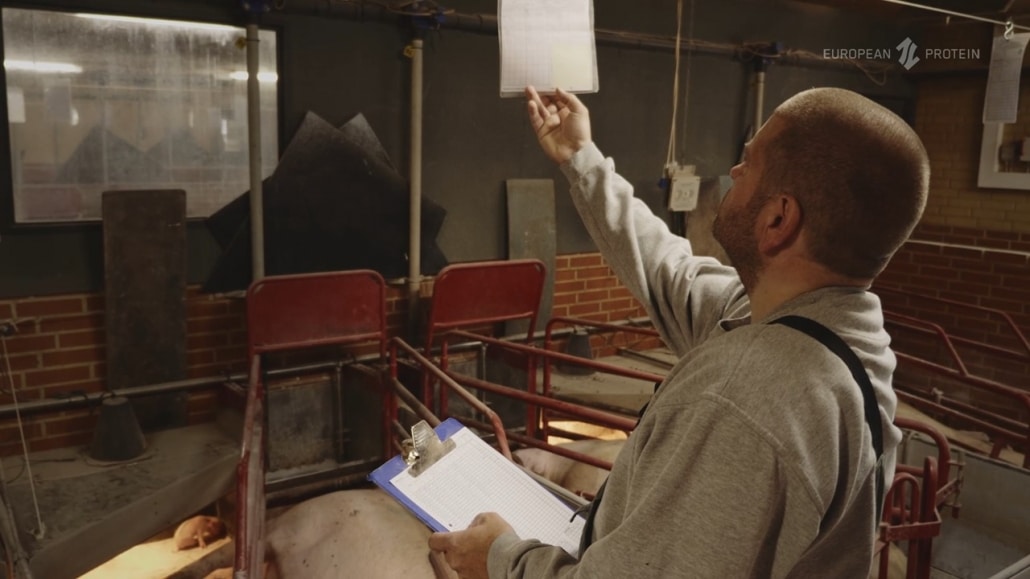 Image of pig producer Michael Rasmussen, owner of Stokkevadgaard Pig Production, while checking the sows performance on a chart above the farrowing crate