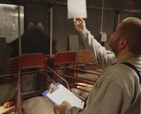 Image of pig producer Michael Rasmussen, owner of Stokkevadgaard Pig Production, while checking the sows performance on a chart above the farrowing crate