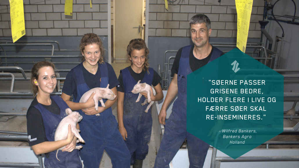 Et billede af ansatte hos svineproducenten, Bankers Agro i Holland, efter brug af EP199 til soholdet og EP100i til smågrisene