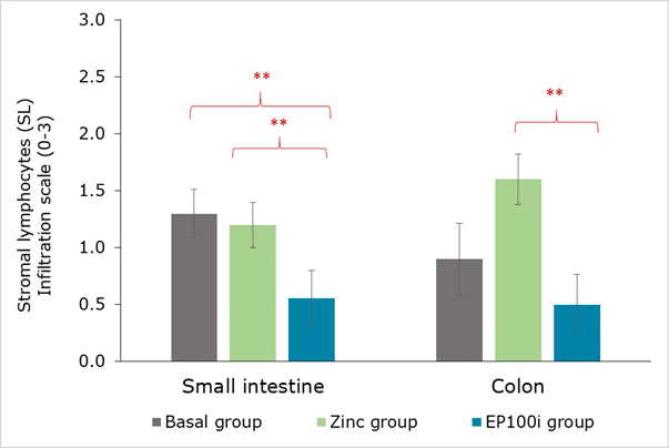 En tabel, der viser, hvordan det fermenterede rapsprotein EP100i dæmper betændelsestilstande i smågrisens tyndtarm og tyktarm sammenlignet med andre fodertyper