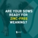 Are your sows ready for zinc free weaning