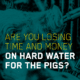 Losing time and money on hard water for the pigs?