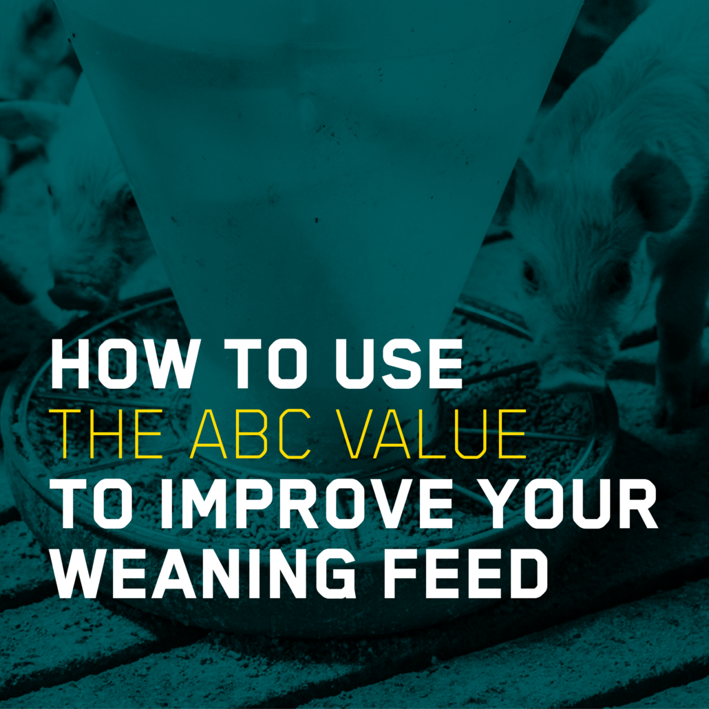 how-to-use-the-abc-value-to-improve-your-weaning-feed