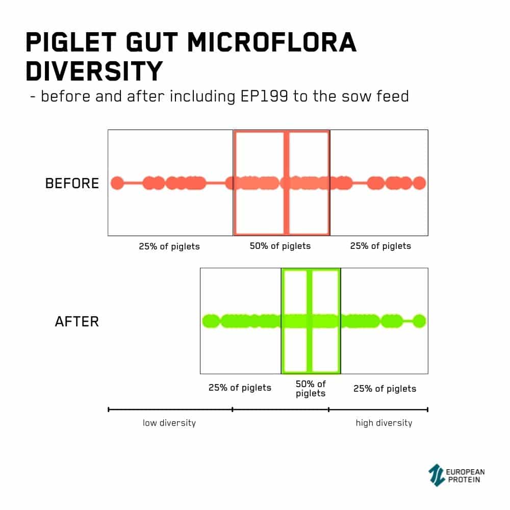 SOW GUT HEALTH CAN BE TRACED IN PIGLET STOOL