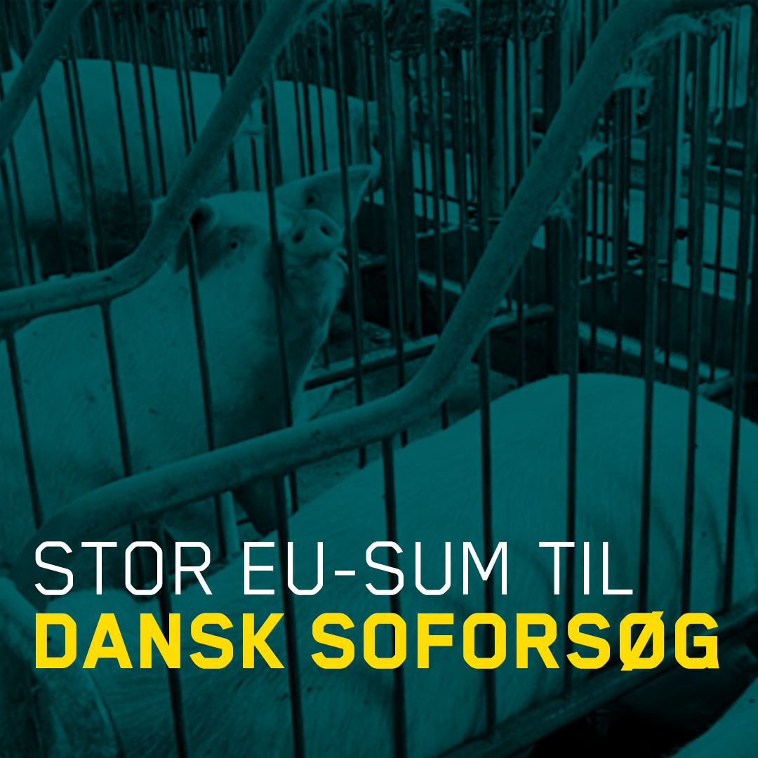 Stor-EU-sum-til-dansk-soforsøg