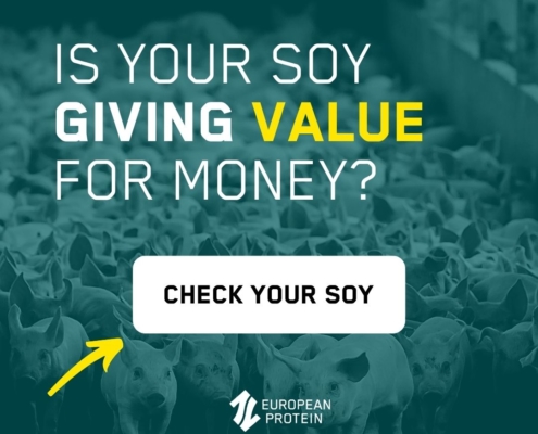 Compare your price for soy protein for pig feed