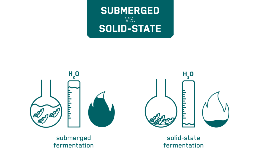 Fermentation- of- soybean meal-water-energy