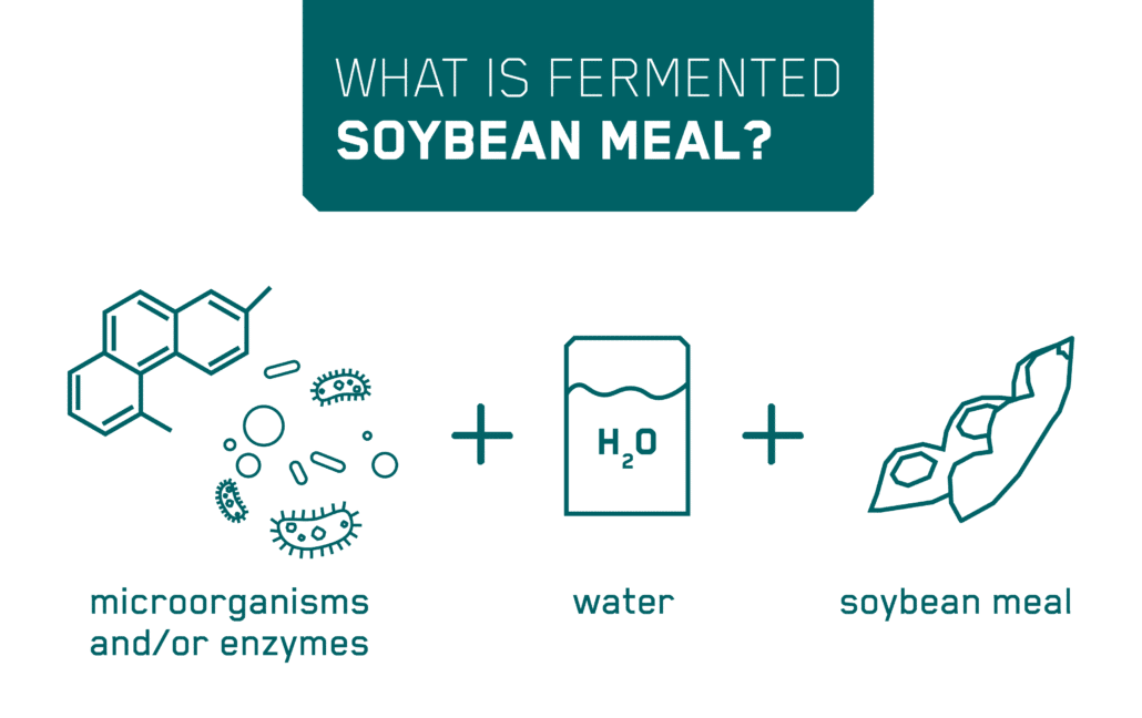 What-is-fermented- soybean- meal